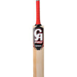 CA Pro 12000 - Cricket Bats