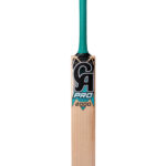 CA PRO 2000