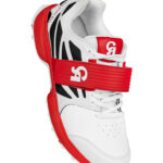 Big bang max