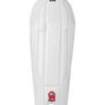 Pro 8k Wicket Keeping Pads
