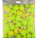 CA Charge (Pack of 60)