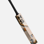 HS 41 Pro Edition Cricket Bat