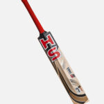 HS Core 5 Cricket Bat