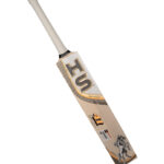 HS 41 Cricket Bat