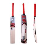 HS Icon Cricket Bat